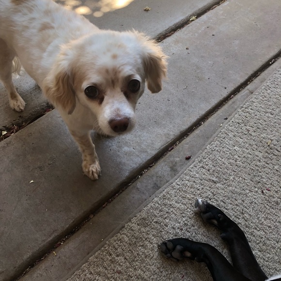 Meet your Posher: Sophie - Picture 2 of 7